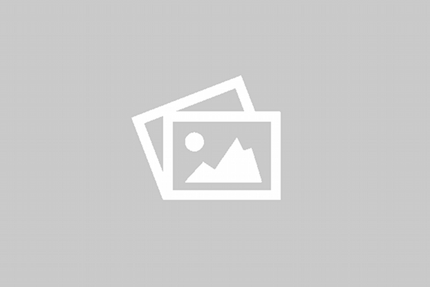 Lucido (Polyester) – High-build, high-gloss polyester systems for a mirror-like finish